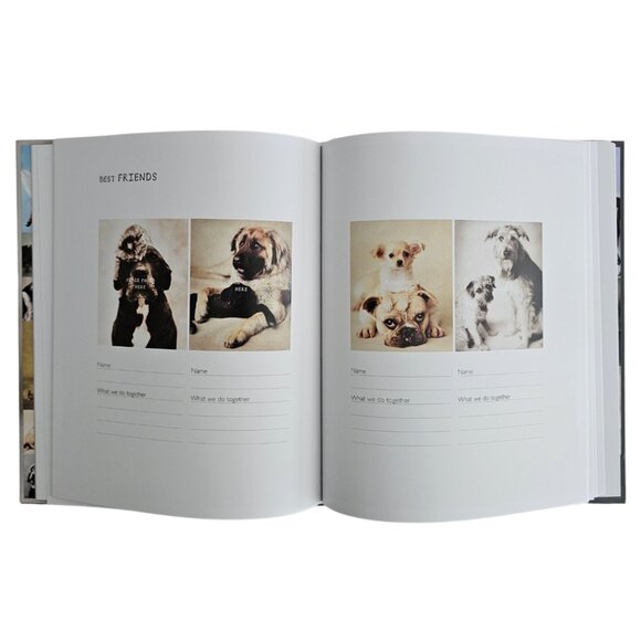 My Dog Record Book By Rachael Hale | Hardcover | NWT | Gray Red - Picture 5 of 12